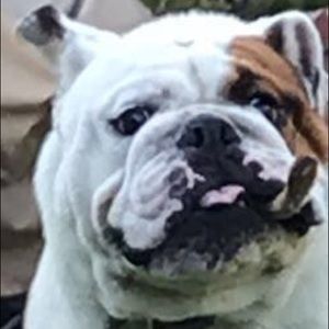 Meet your Posher, Will